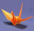 20080202142111-grulla.jpg